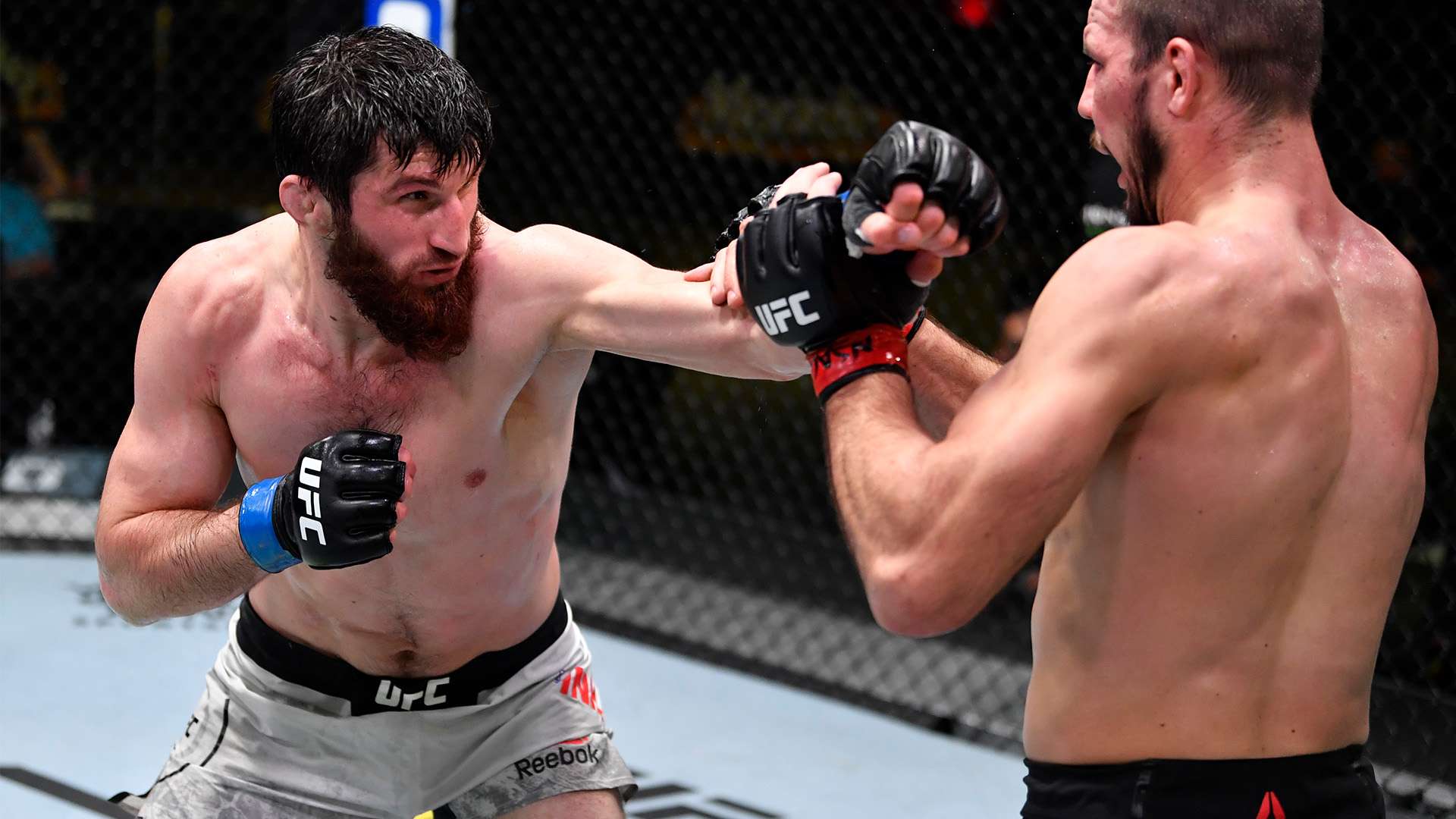 队友创造了 队友创造了